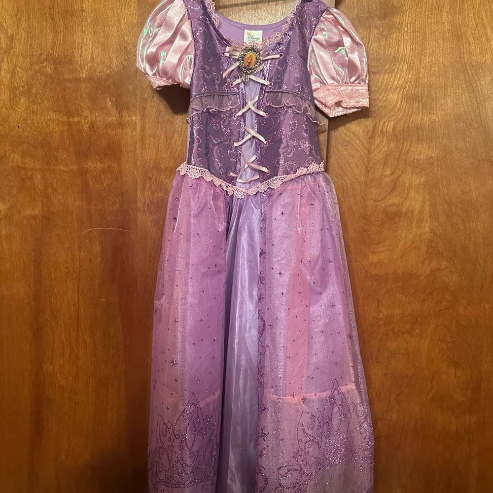 Disney Rapunzel Purple and Pink Princess Dress